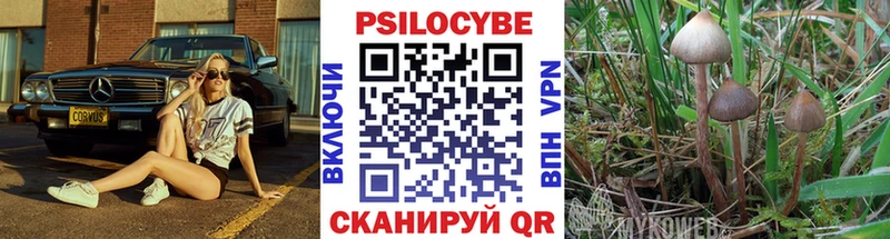 Галлюциногенные грибы MAGIC MUSHROOMS  наркота  Фрязино 
